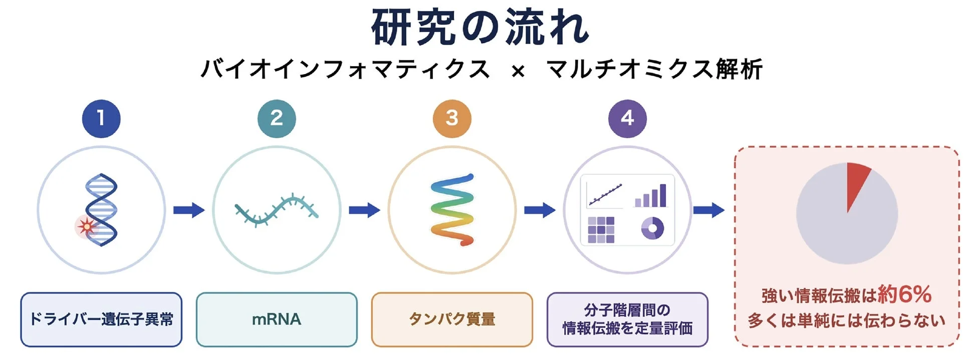 研究の流れと主要結果を示すフロー図