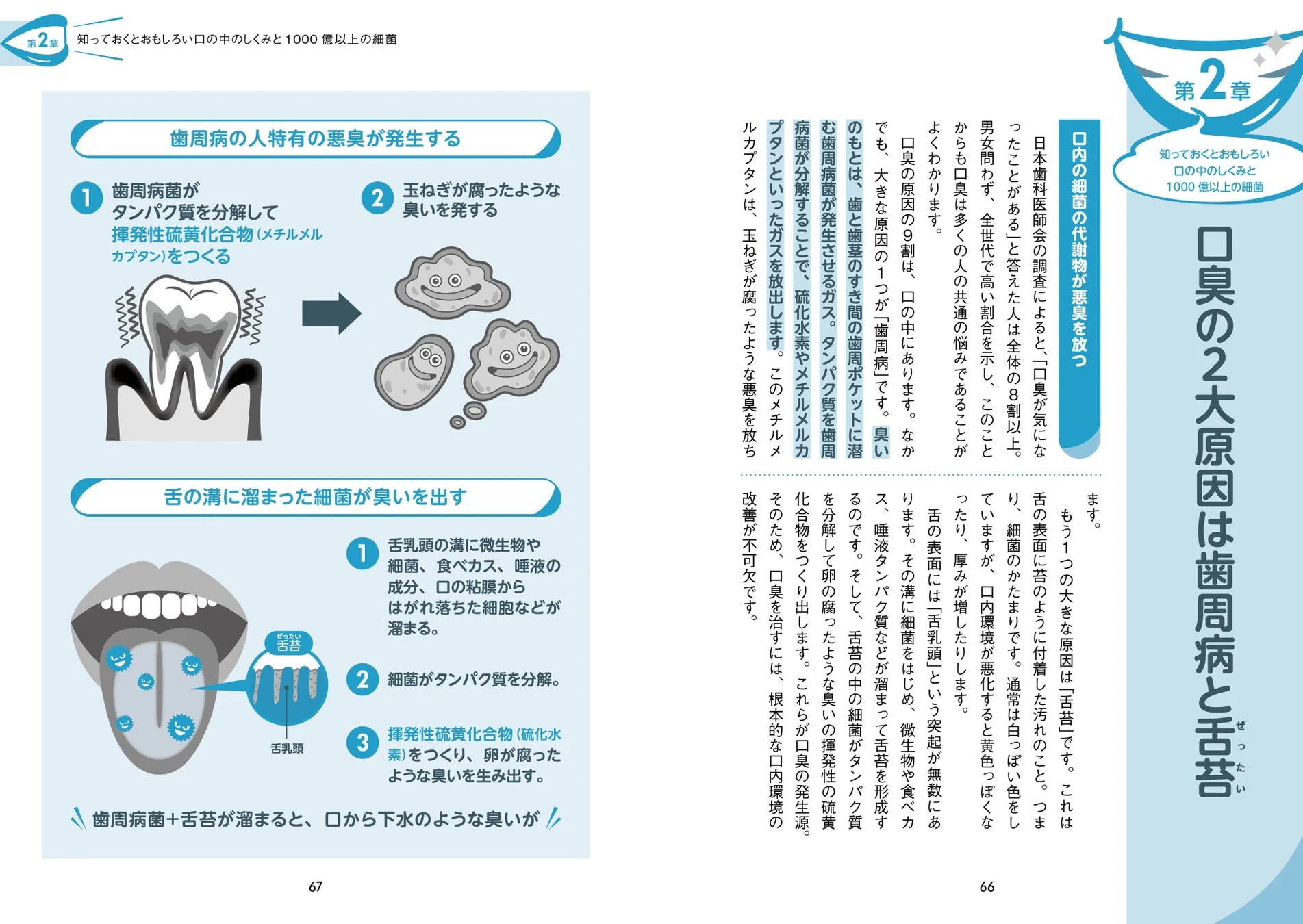 口臭の主な原因である歯周病と舌苔について解説する書籍ページ