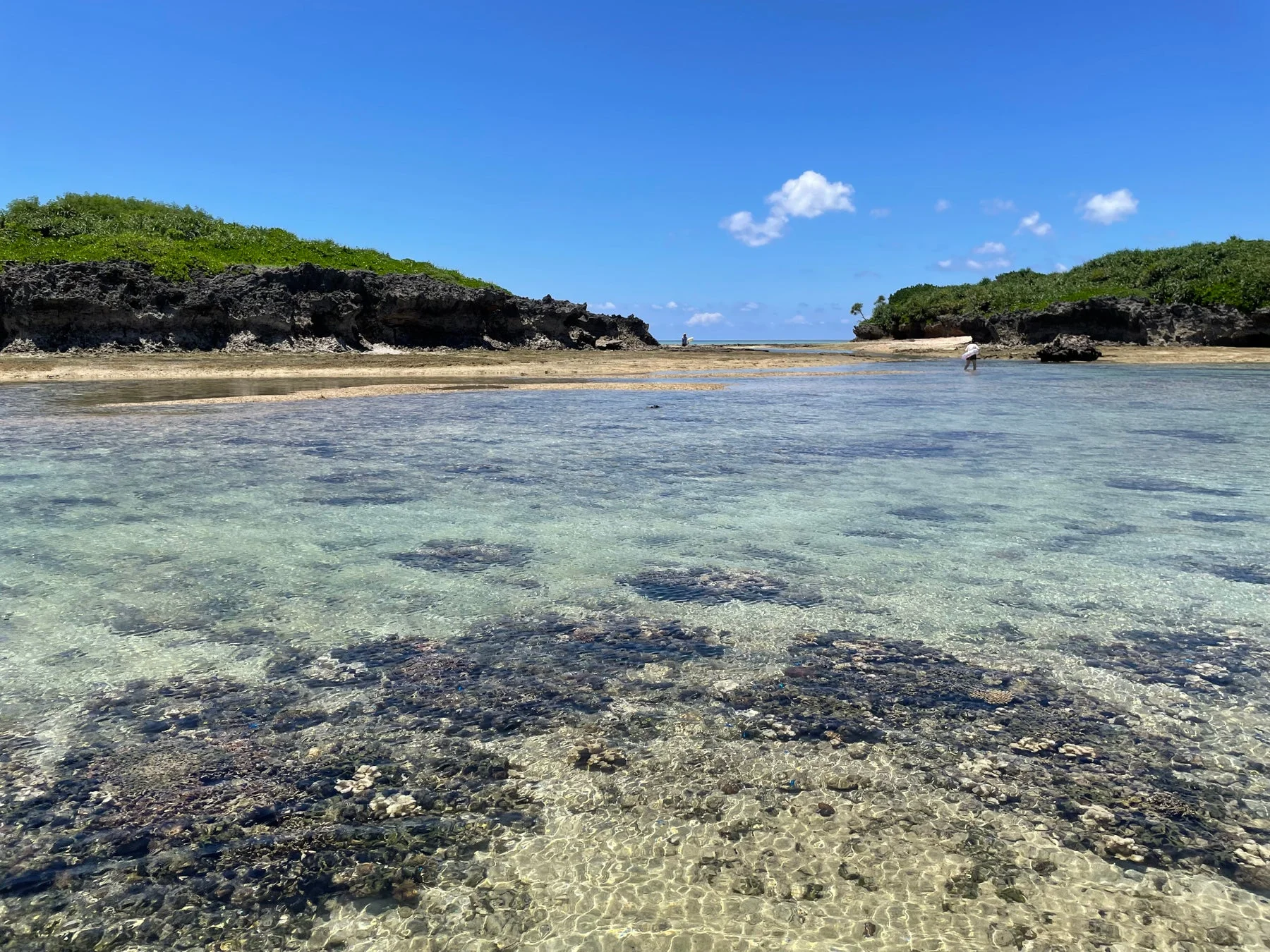 熱帯の海辺の景色