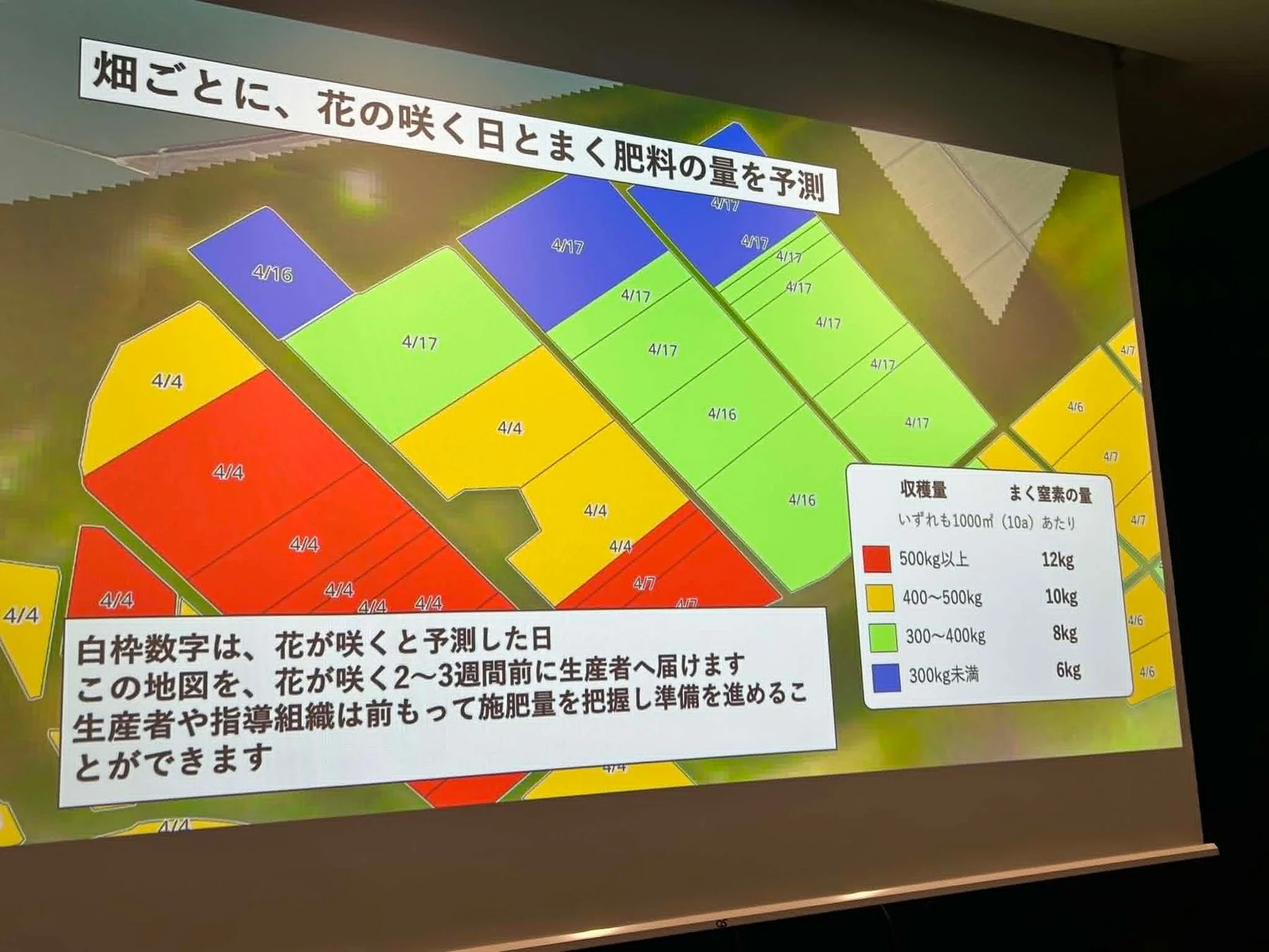 畑ごとの開花日と施肥量予測