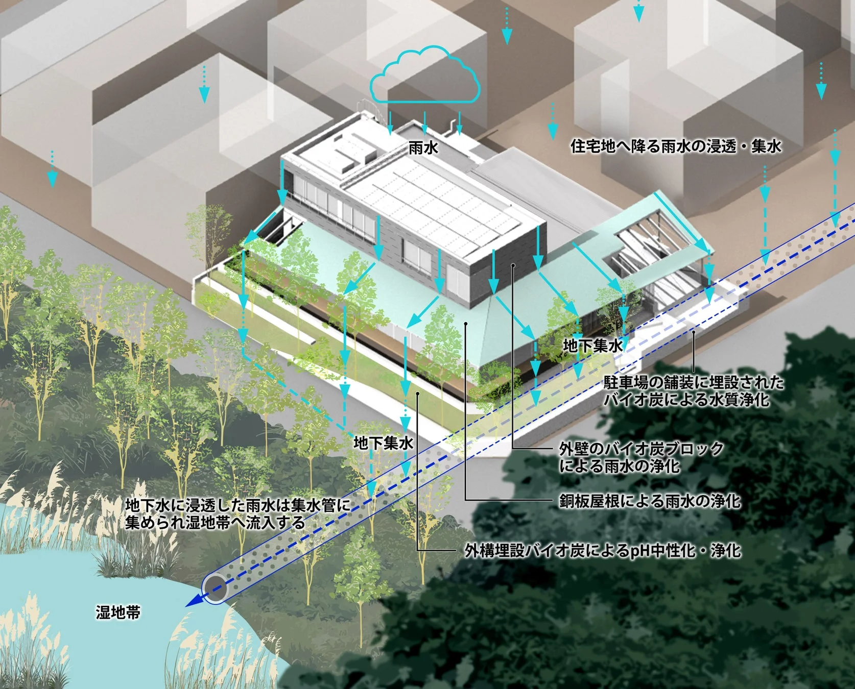 雨水利用、雨水浄化、バイオ炭、環境建築、持続可能性、湿地帯、水循環、浸透、集水、住宅地、水質浄化、pH中性化