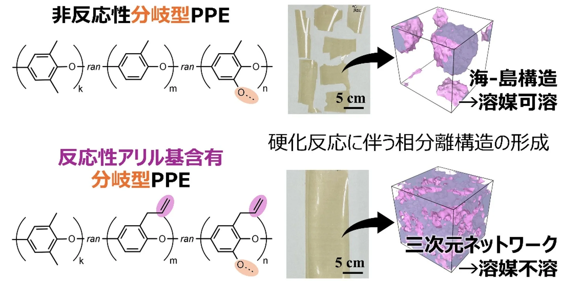 非反応性分岐型PPEと反応性アリル基含有分岐型PPEの硬化反応に伴う相分離構造を比較