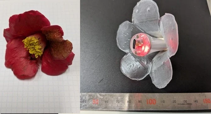 本物の花と3Dプリンター製人工花の比較