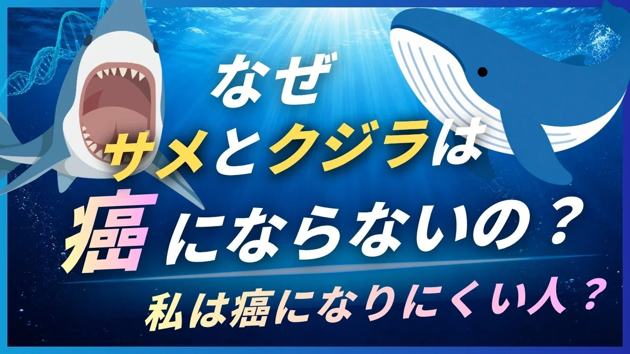 なぜ サメとクジラは 癌 にならないの？ 私は癌になりにくい人？