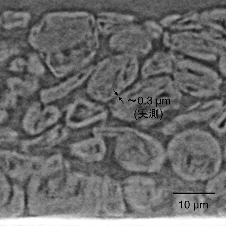 リチウムイオン電池向け黒鉛負極の高分解能観察