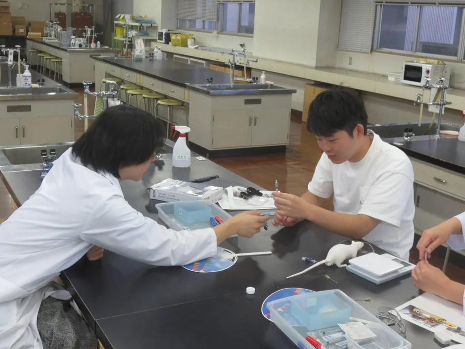 学生がマウスを使って実験している風景