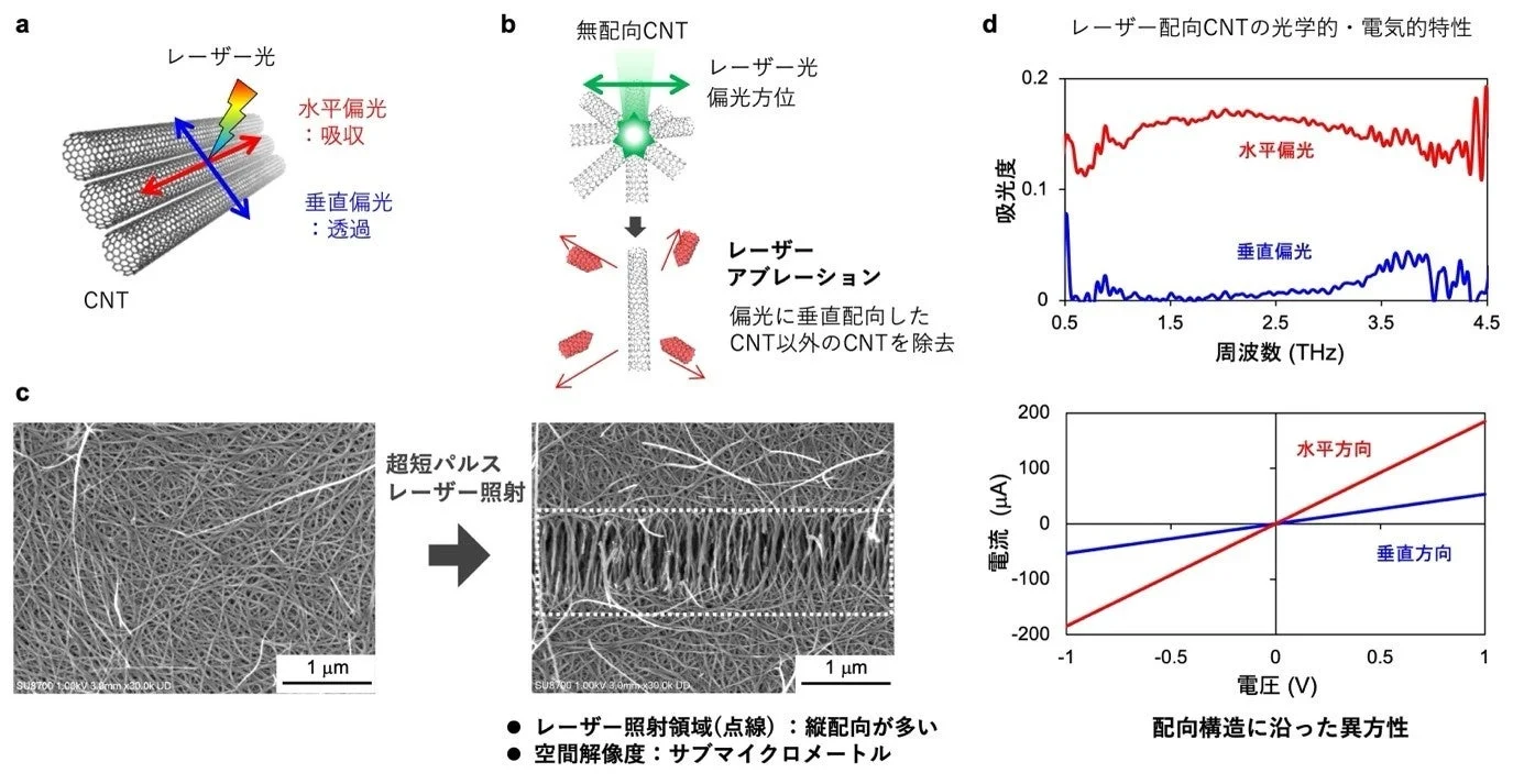 CNTの配向技術と光学的・電気的異方性を示す図