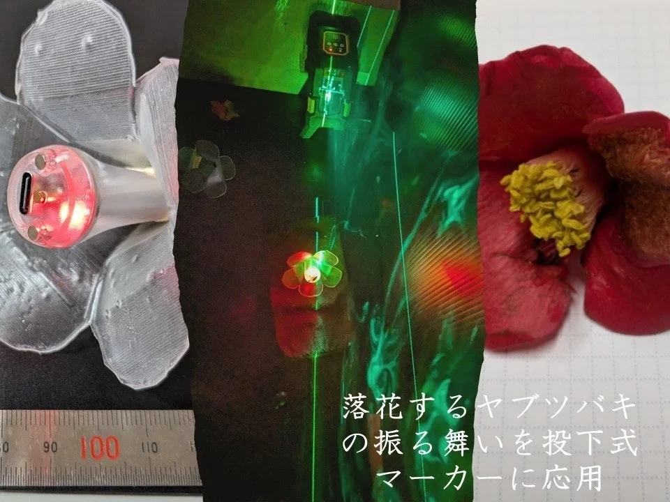 落花するヤブツバキの振る舞いを投下式マーカーに応用