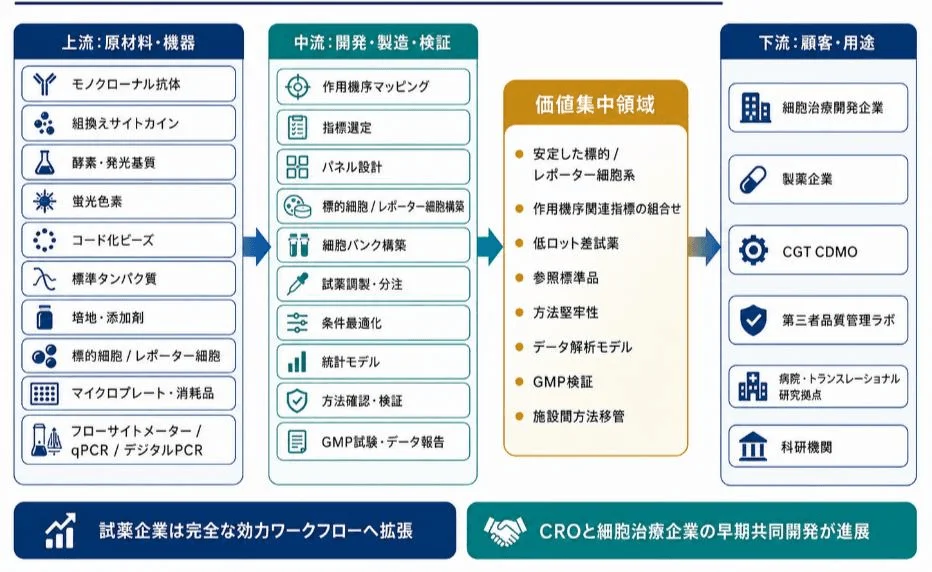 細胞効力試験パネル産業チェーン分析