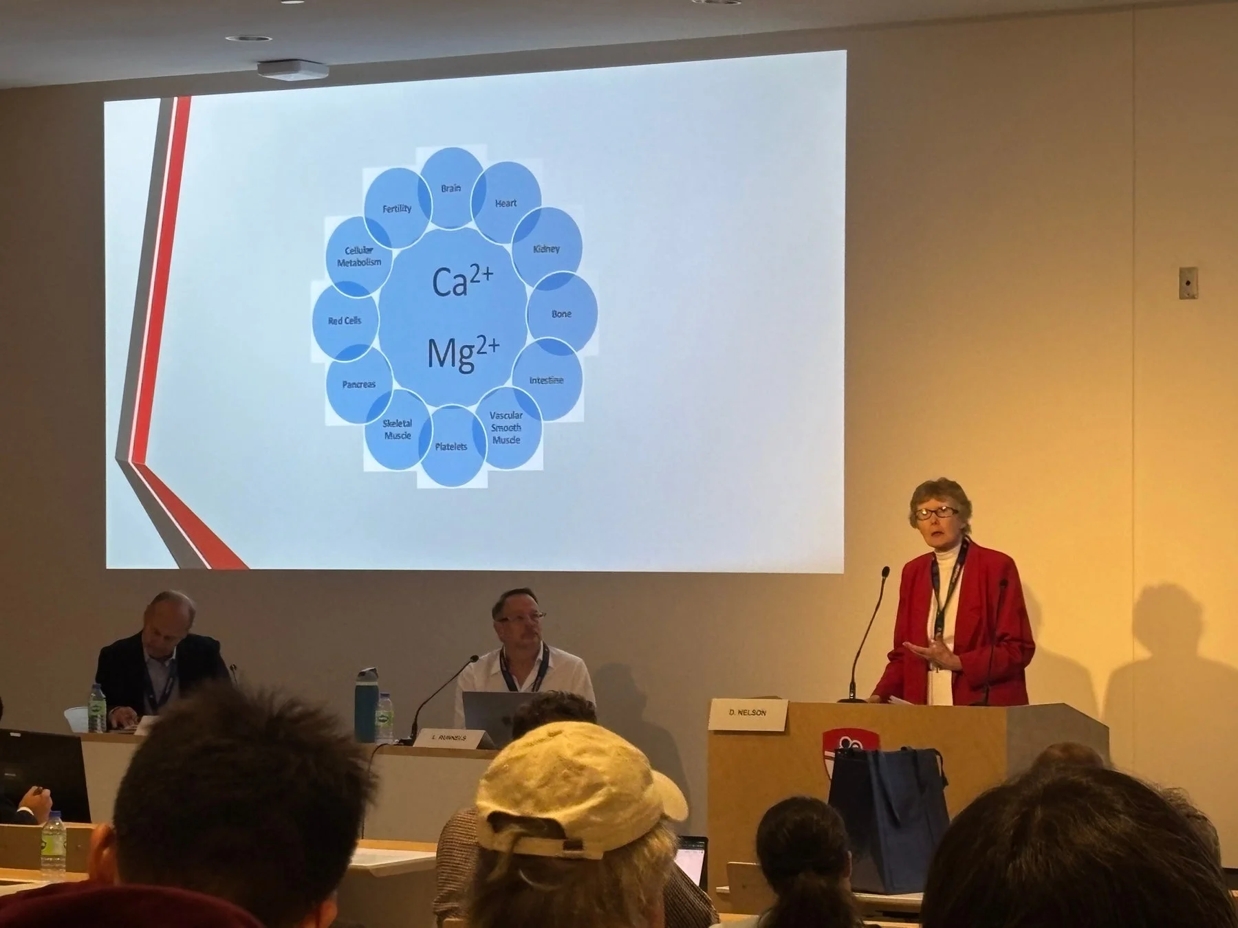 会議室で女性が「Ca2+とMg2+の生体内での役割」に関するスライドを用いて講演している様子。