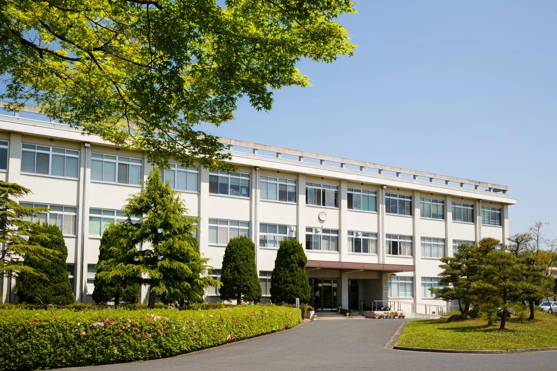 晴れた青空の下、新緑に囲まれた白い複数階建ての校舎