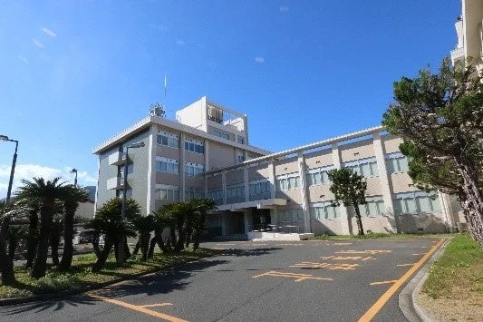 建物、オフィスビル、学校、公共施設、駐車場、晴れ、青空、ヤシの木、日本の風景、建築