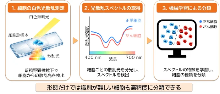 新技術のプロセス図