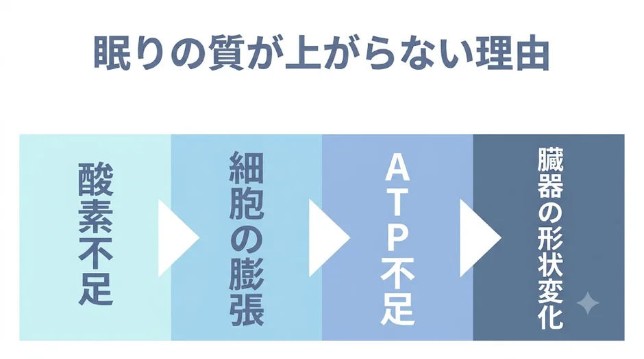 眠りの質が上がらない理由 酸素不足 細胞の膨張 ATP不足 臓器の形状変化