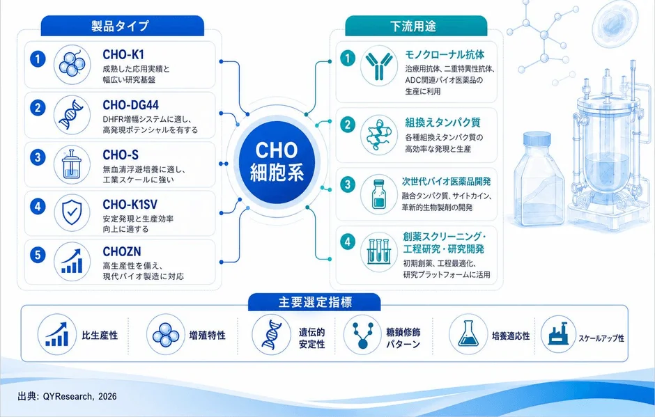 CHO細胞系の製品タイプと下流用途