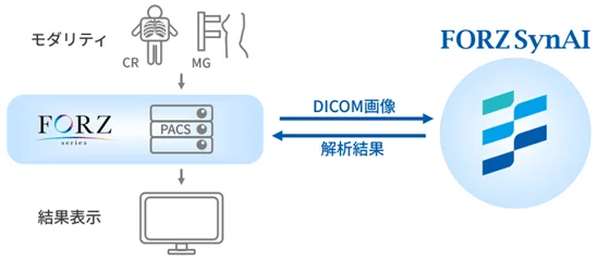 医療画像解析ワークフロー