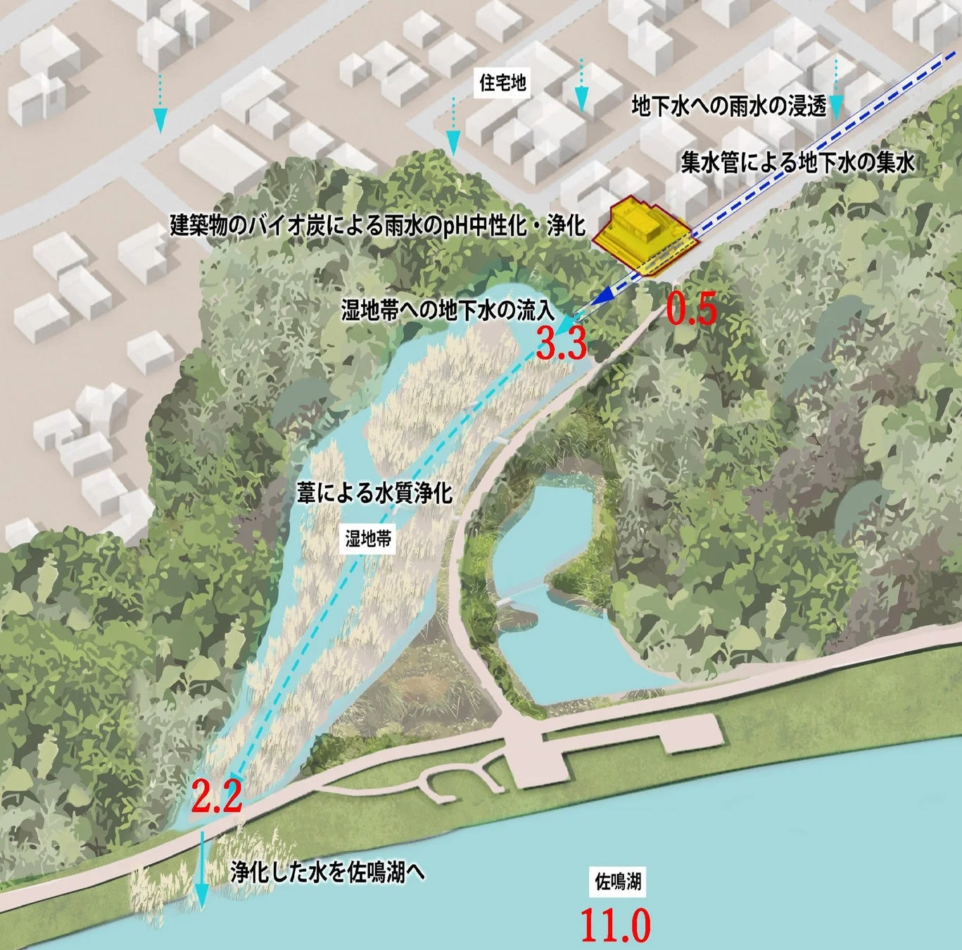 水質浄化、湿地帯、雨水利用、地下水、環境保全、自然浄化、佐鳴湖、バイオ炭、住宅地、エコシステム