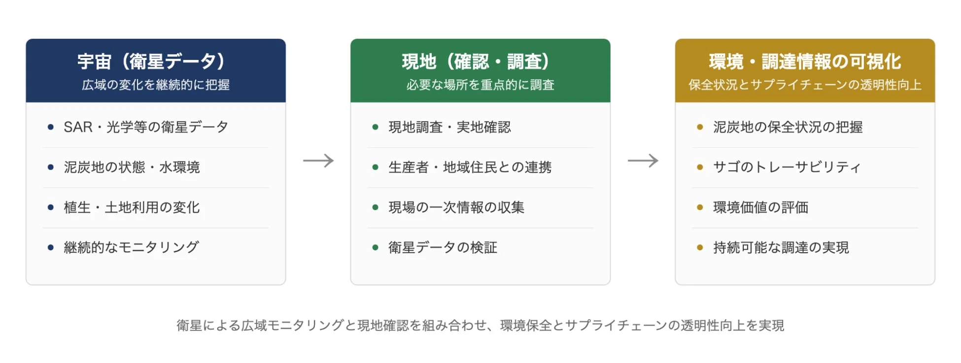 衛星データと現地確認による環境保全とサプライチェーンの透明性向上