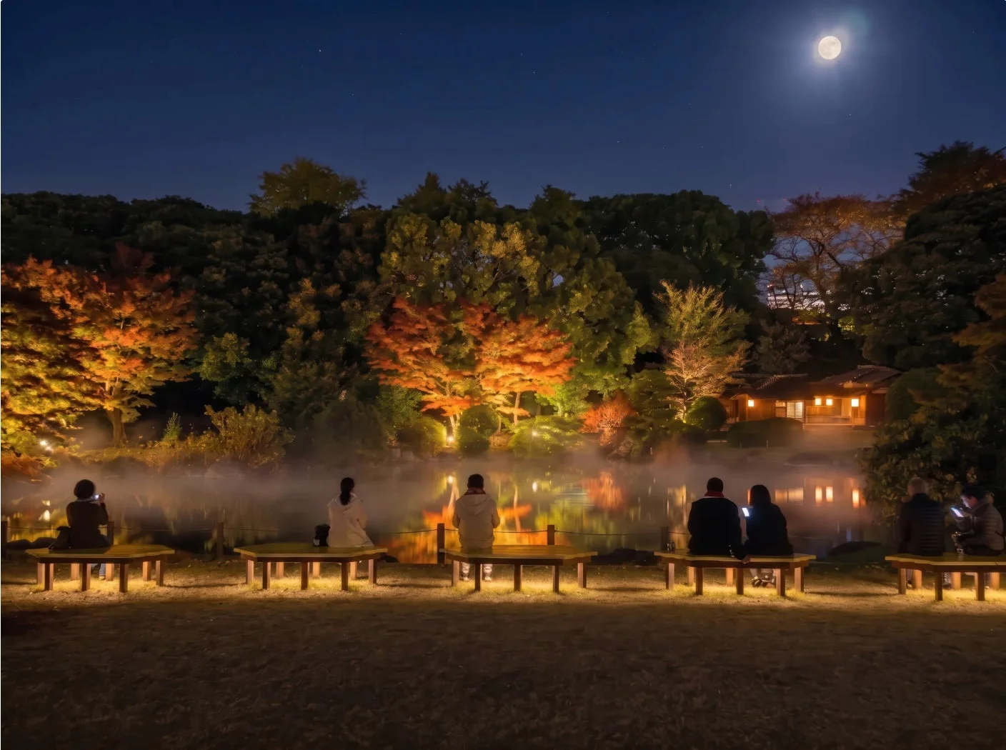 夜景 日本庭園 紅葉 ライトアップ