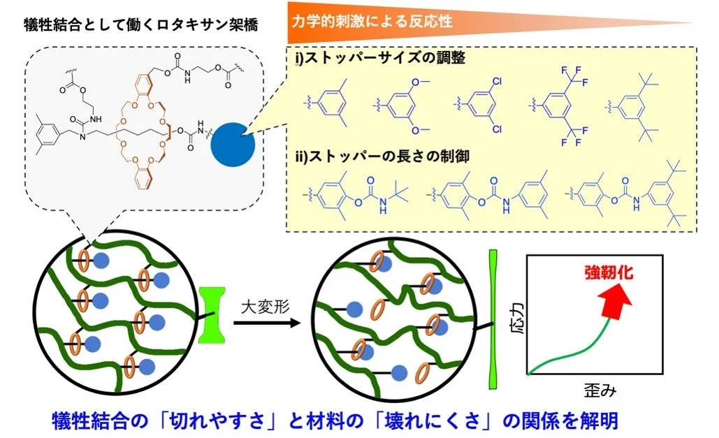ロタキサン型犠牲結合の概念図