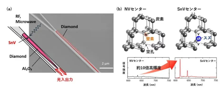 SnVセンターとNVセンターの分子構造と発光スペクトル